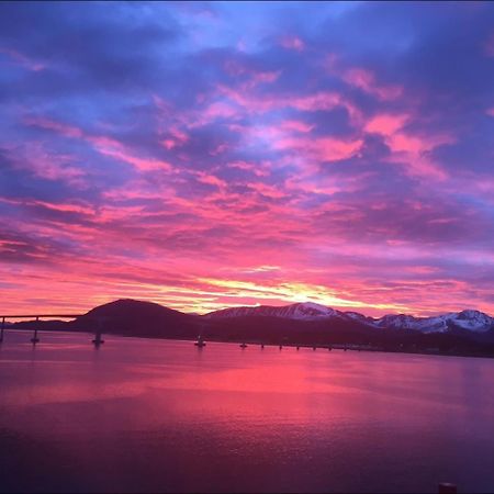 Harstad, All Seasons Lejlighed Eksteriør billede