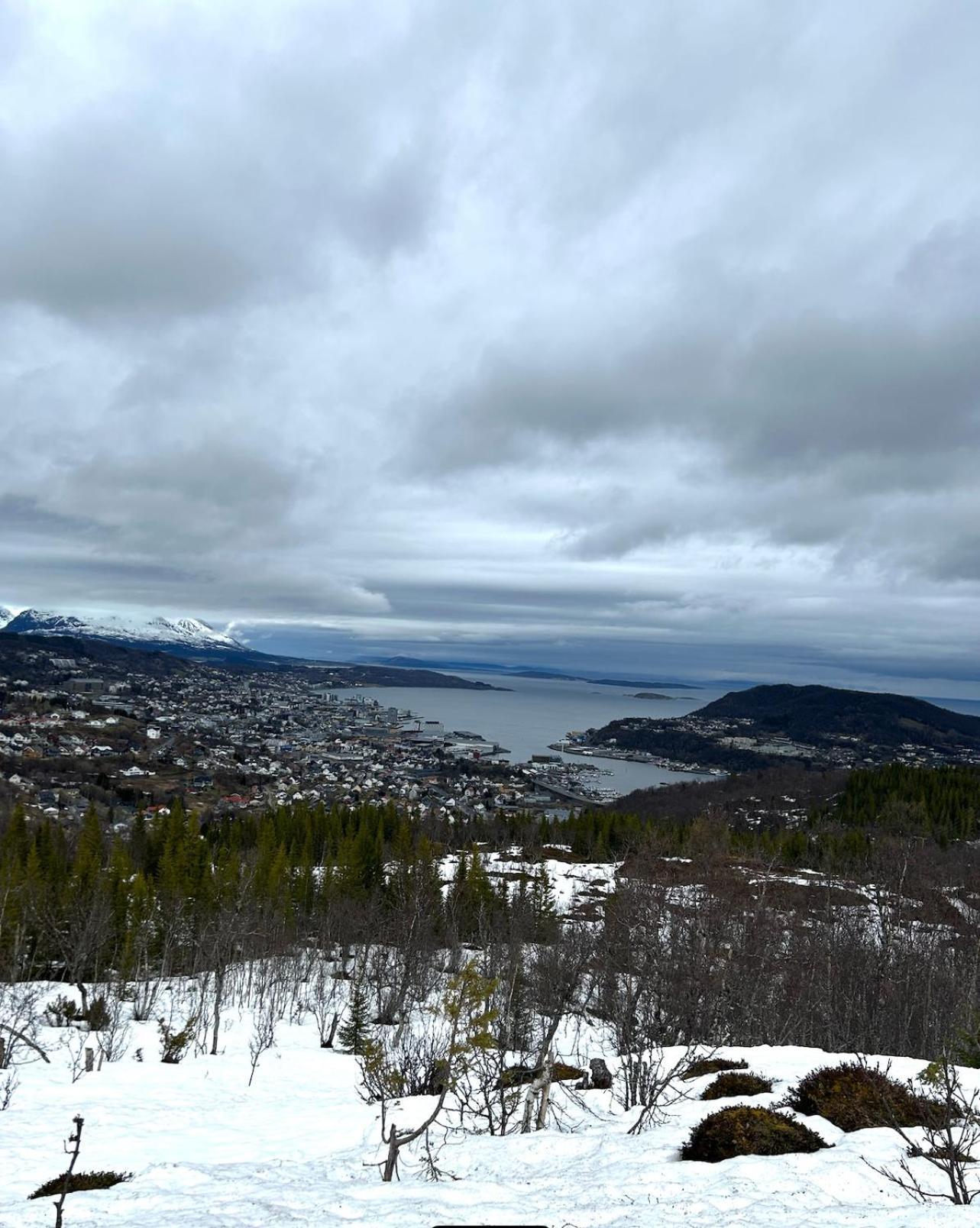 Harstad, All Seasons Lejlighed Eksteriør billede