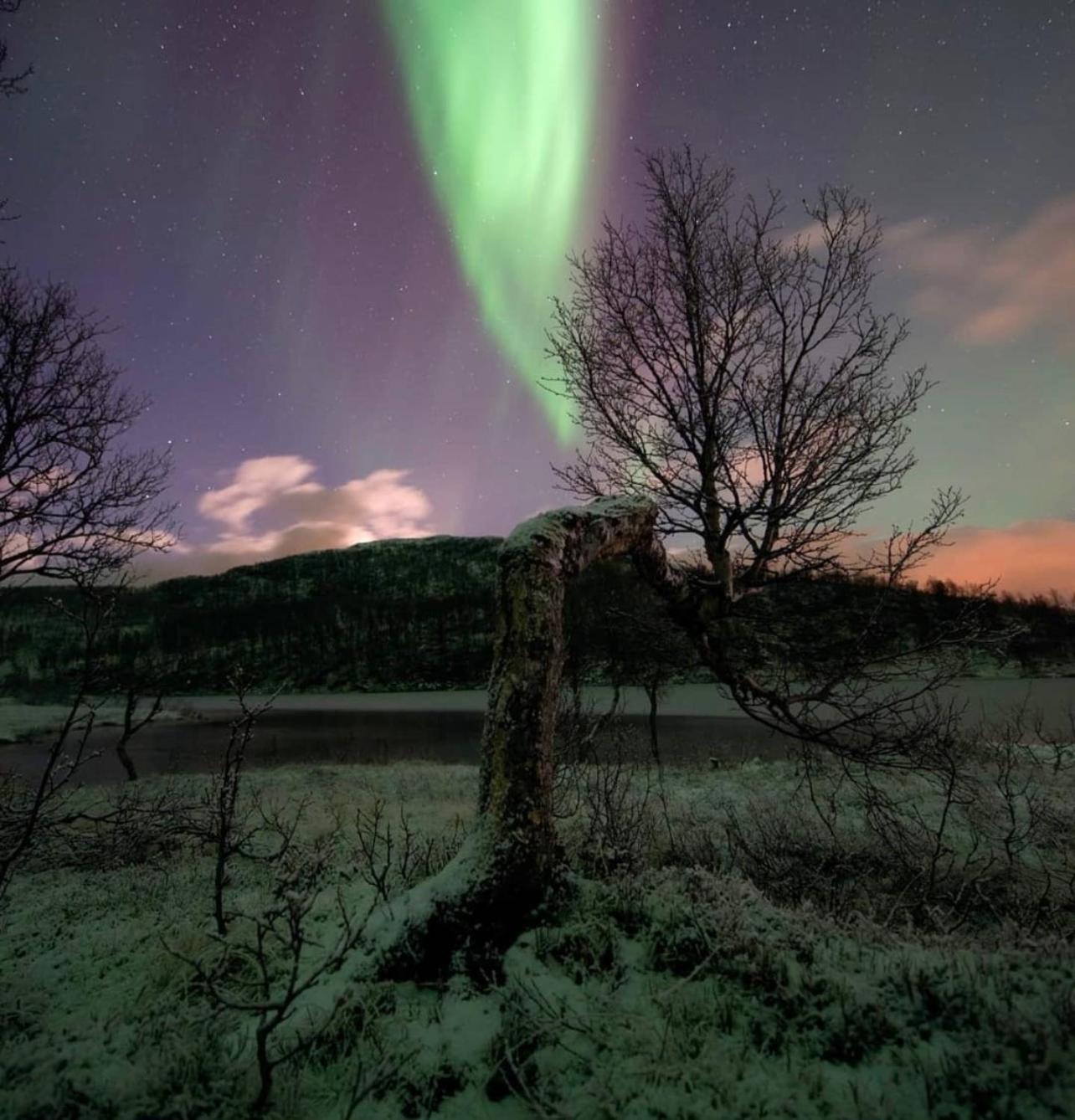 Harstad, All Seasons Lejlighed Eksteriør billede