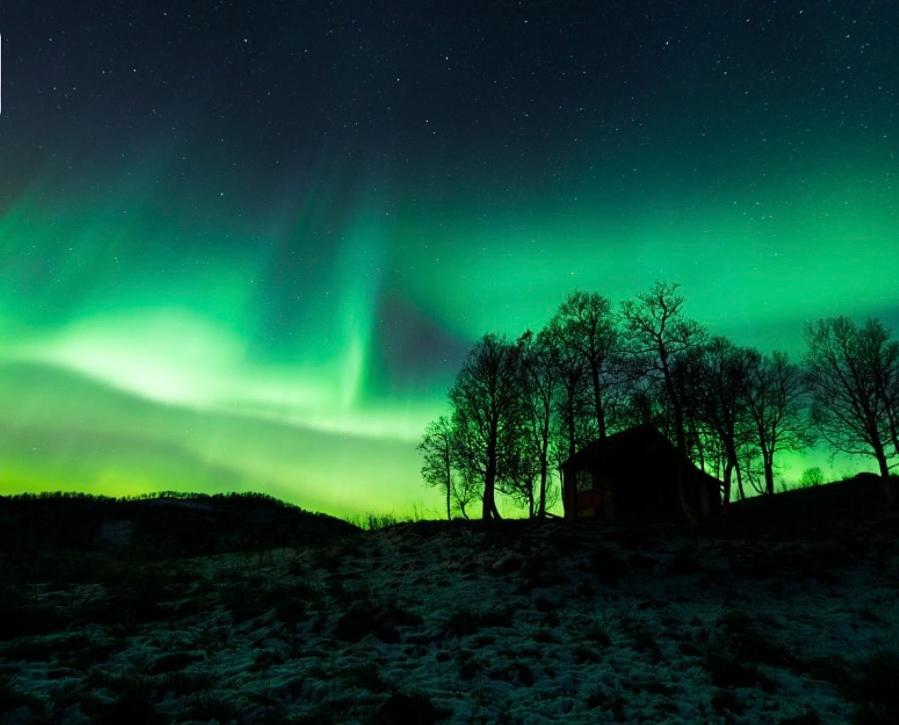 Harstad, All Seasons Lejlighed Eksteriør billede